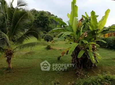 Lush tropical garden with palm and banana trees, perfect for serene outdoor living.