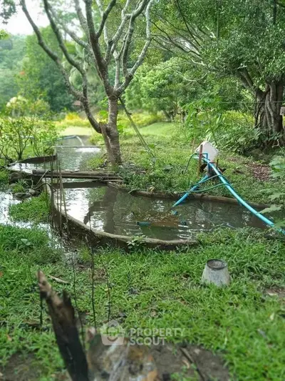 Lush garden with serene water feature and mature trees, perfect for nature lovers seeking tranquility.