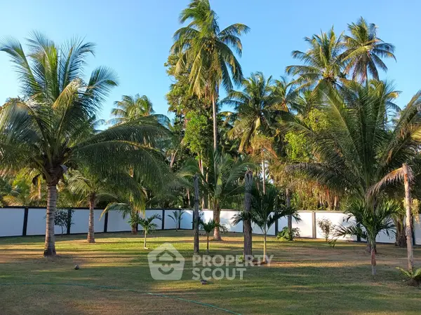 image_rental-17054277