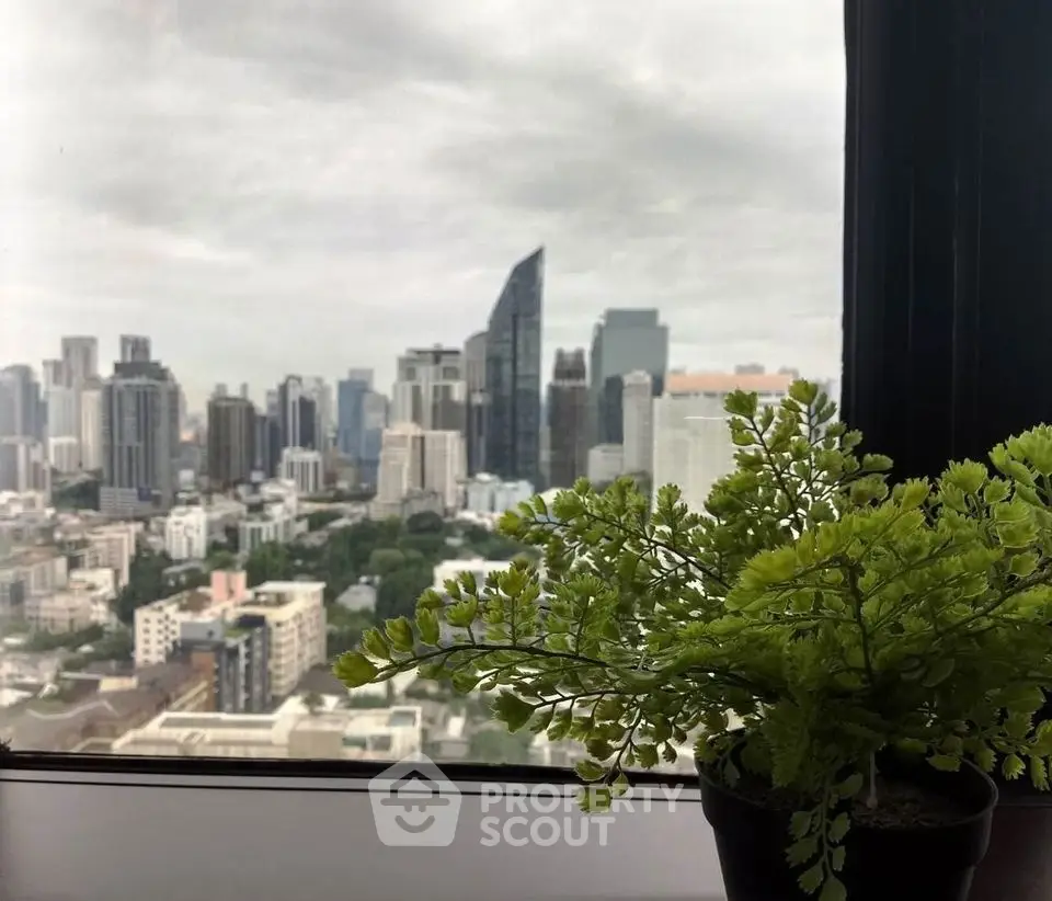 Stunning cityscape view from a high-rise window with lush greenery indoors.