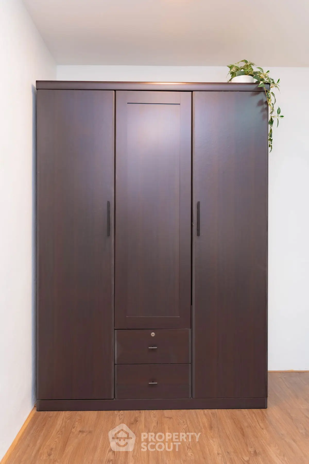 Elegant wooden wardrobe in a modern interior with plant decor
