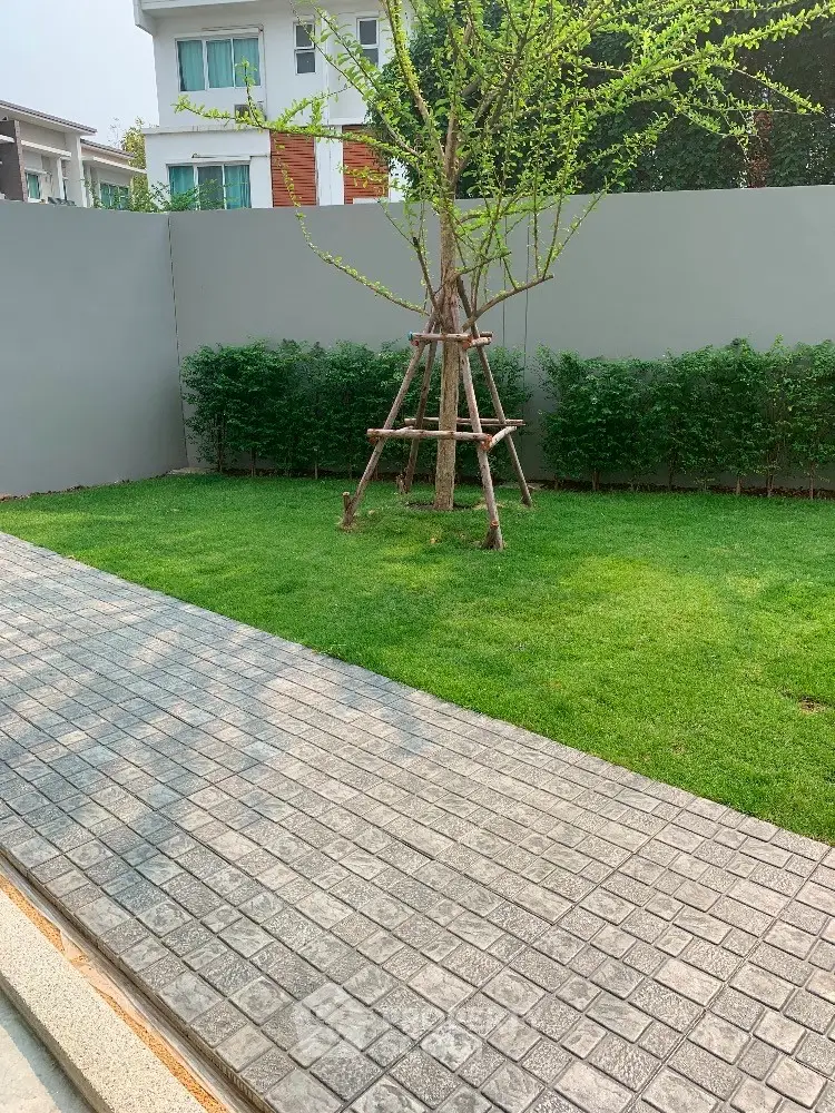 Charming garden view with lush greenery and modern landscaping in a serene residential area.