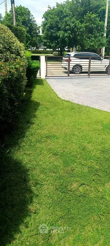 Lush green garden with driveway and parked car in a serene residential area.