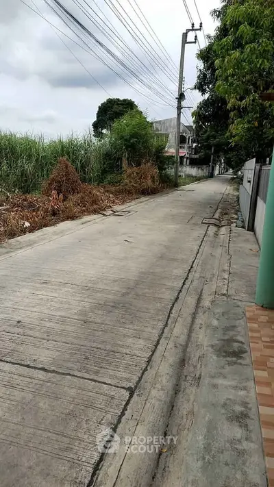 Quiet residential street with lush greenery and power lines, ideal for peaceful living.