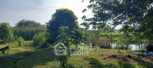 image_rental-28887453