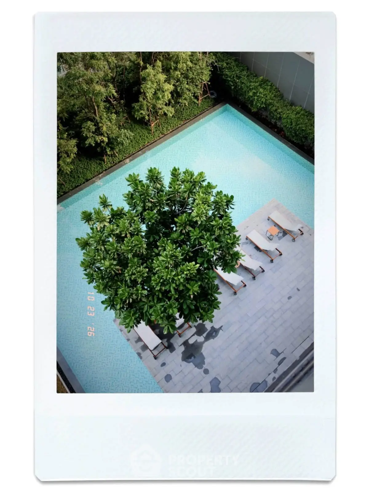 Luxurious outdoor pool area with lush greenery and sun loungers, perfect for relaxation.