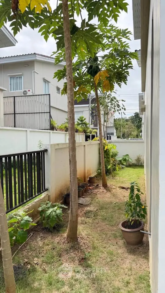 Charming garden view with lush greenery and modern residential architecture.