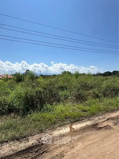 Expansive plot of land with lush greenery under a clear blue sky, ideal for development opportunities.