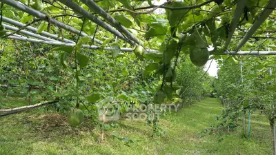 image_rental-17762452
