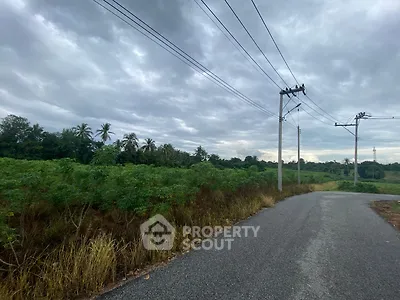 Scenic rural land with lush greenery and utility poles under a cloudy sky, ideal for development.