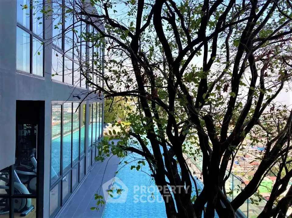 Luxurious high-rise building with stunning pool and gym overlooking a breathtaking city view.