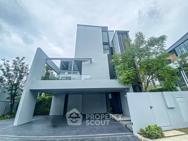 image_rental-31503003