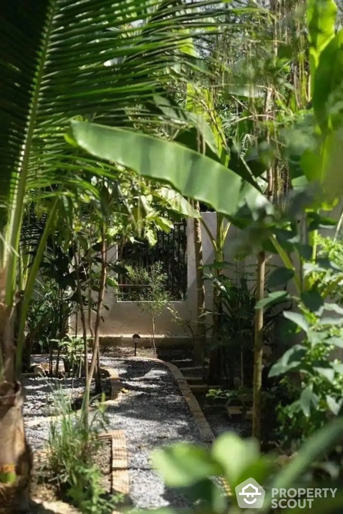 Lush tropical garden pathway with vibrant greenery and serene ambiance