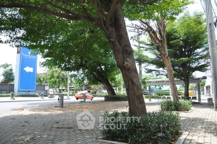 Charming street view with lush trees and paved walkway in urban setting.