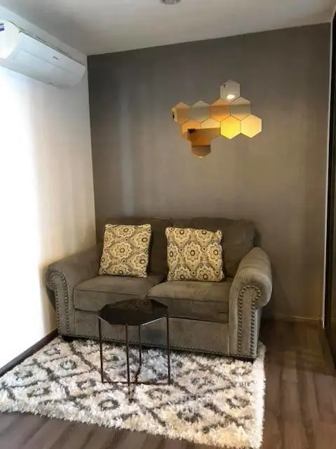 Cozy living room with stylish sofa and modern decor