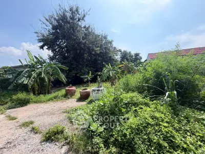 Lush garden area with tropical plants and pottery under a clear blue sky.