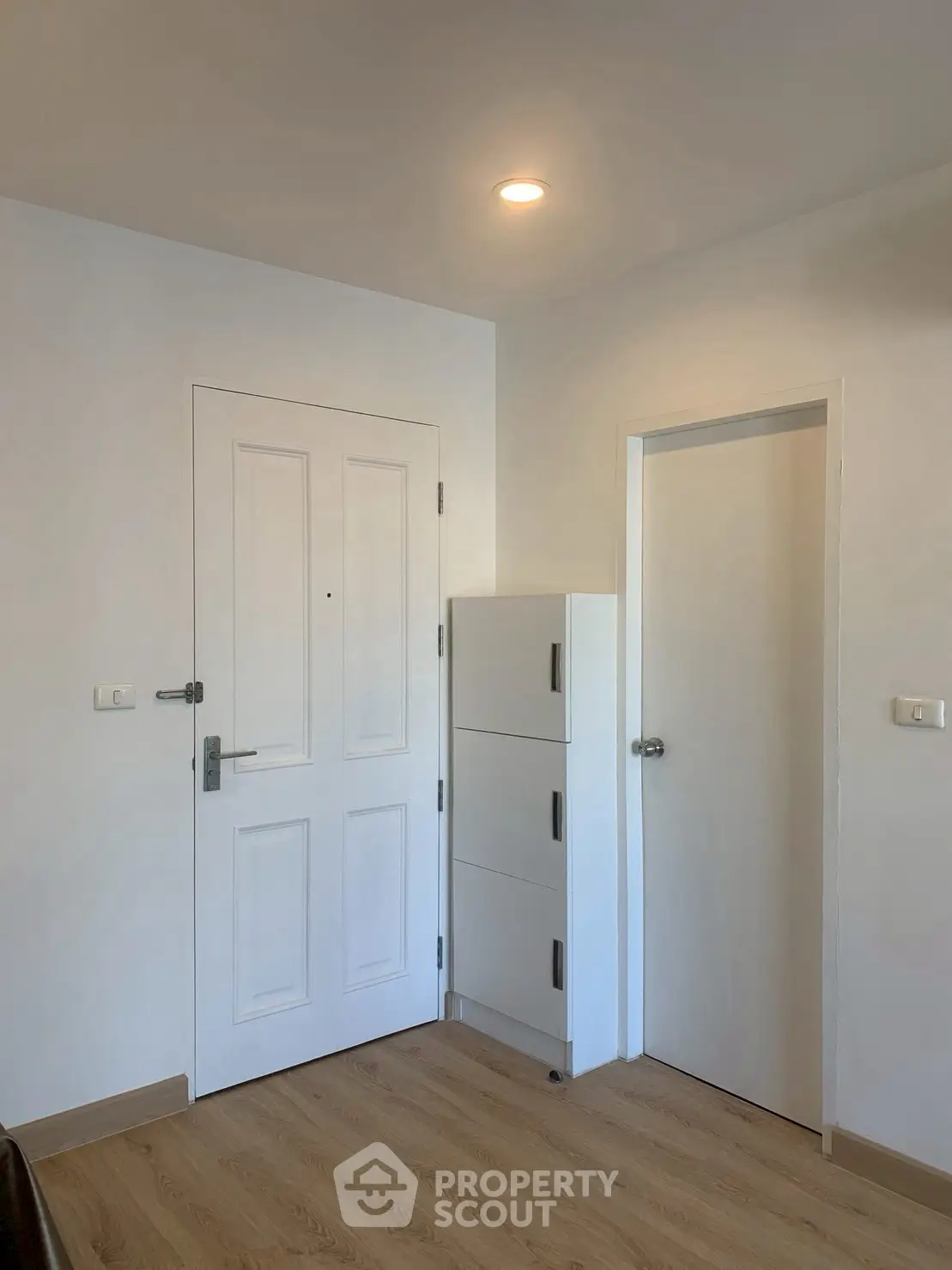 Minimalist interior with white doors and wooden flooring