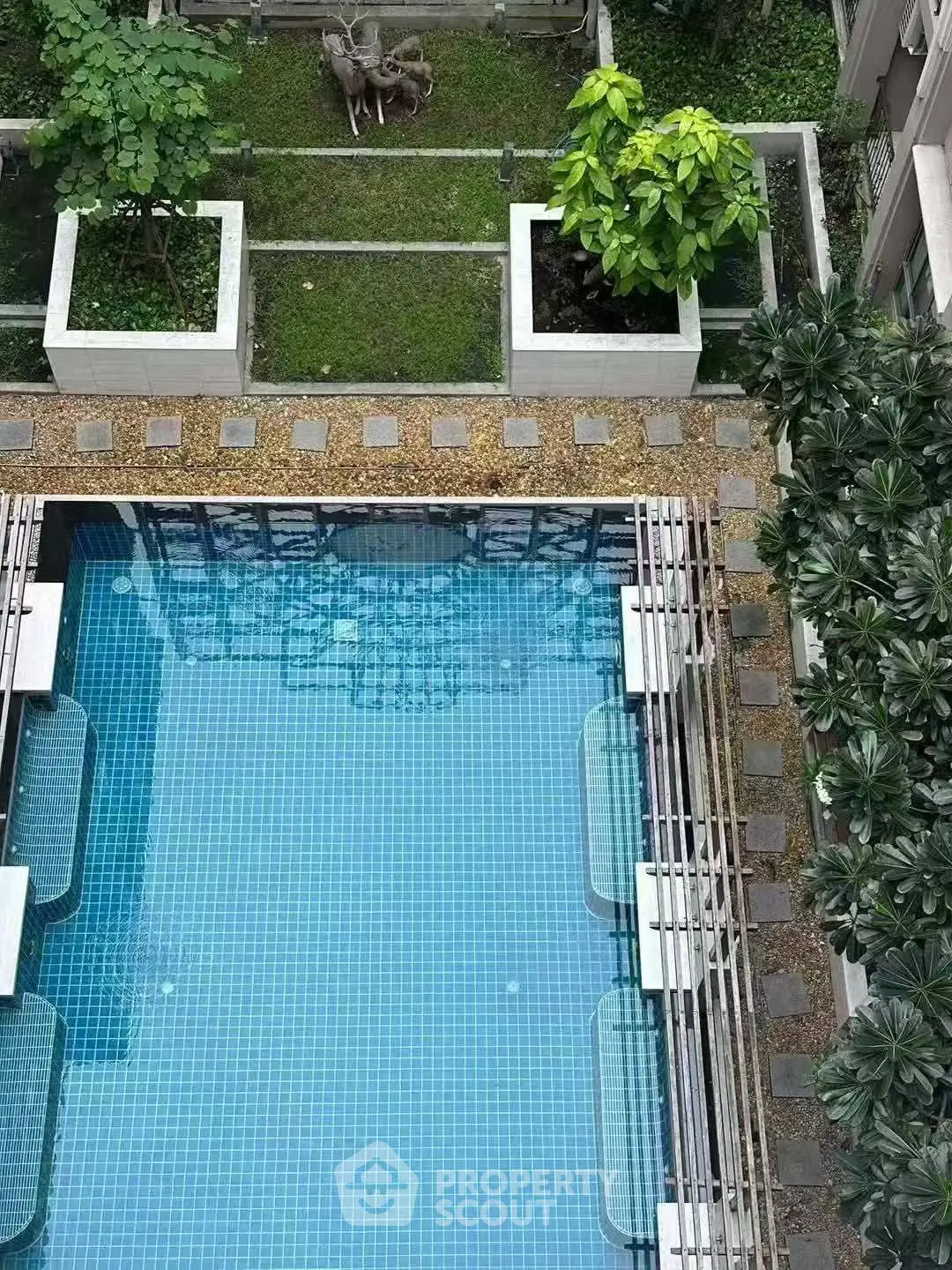 Stunning aerial view of a modern swimming pool surrounded by lush greenery in a luxury property.