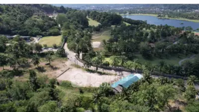 Scenic aerial view of lush green landscape with lake and palm trees, ideal for real estate development.