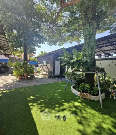 image_rental-28581472