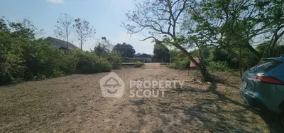 Spacious vacant land with trees, ideal for development or investment opportunities.
