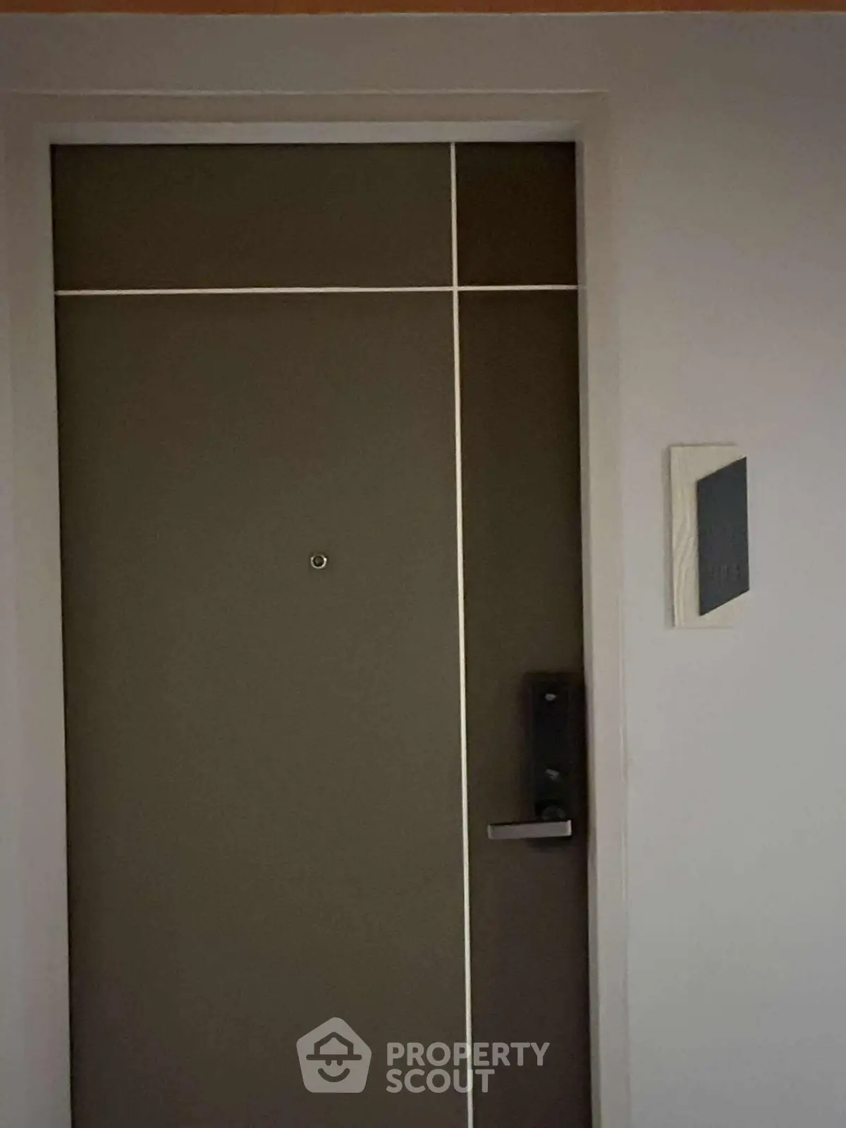 Modern apartment entrance with sleek door design and secure lock system.