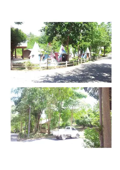 Charming outdoor area with unique teepee-style structures surrounded by lush greenery and a spacious driveway.