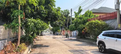 Charming suburban street with lush greenery and modern homes, perfect for peaceful living.