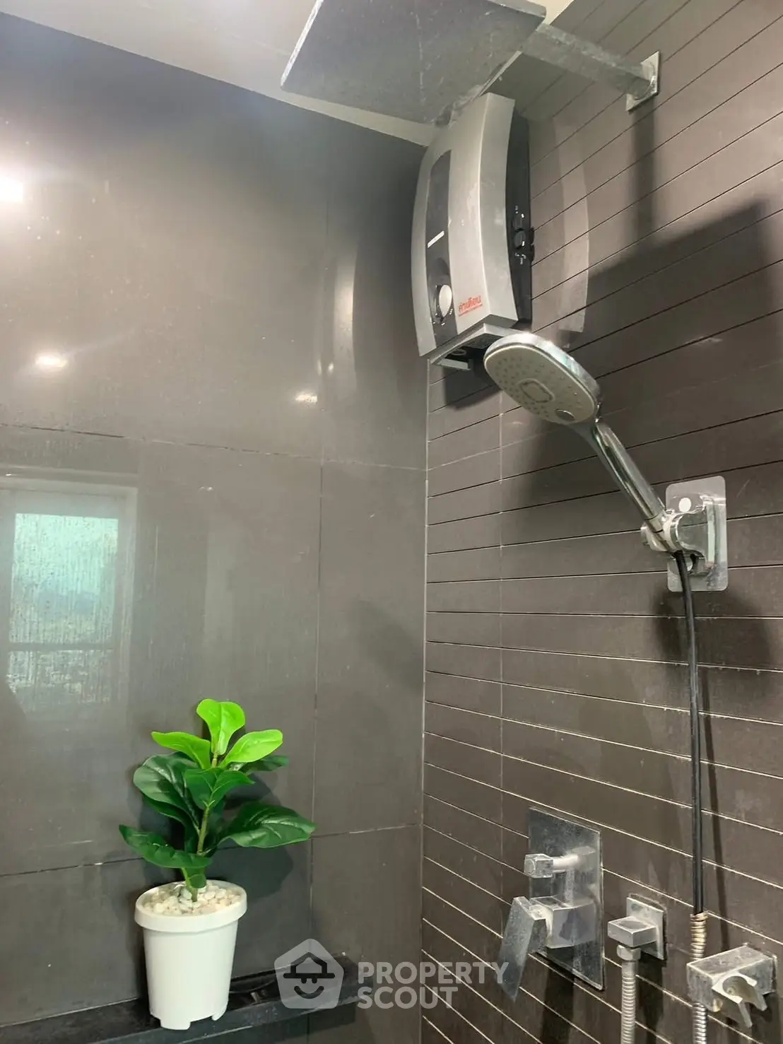 Modern bathroom with sleek shower fixtures and decorative plant