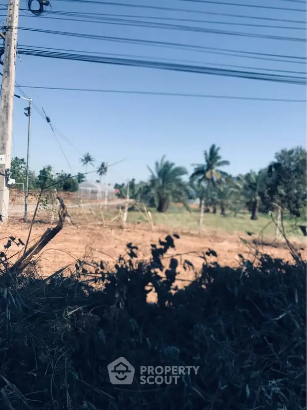 image_rental-28025476