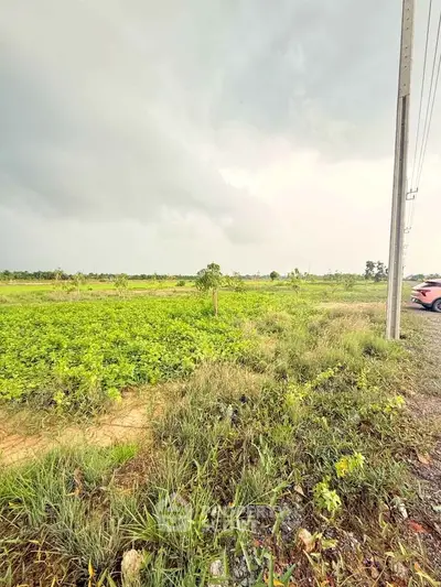 Expansive green land with potential for development under a cloudy sky.