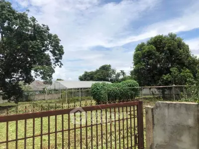 Spacious land plot with lush greenery and secure fencing, ideal for development.