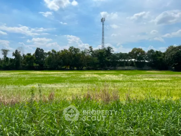 image_rental-13247597