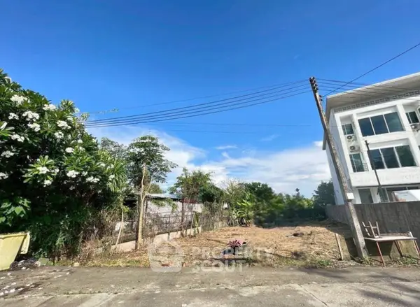 image_rental-31501788