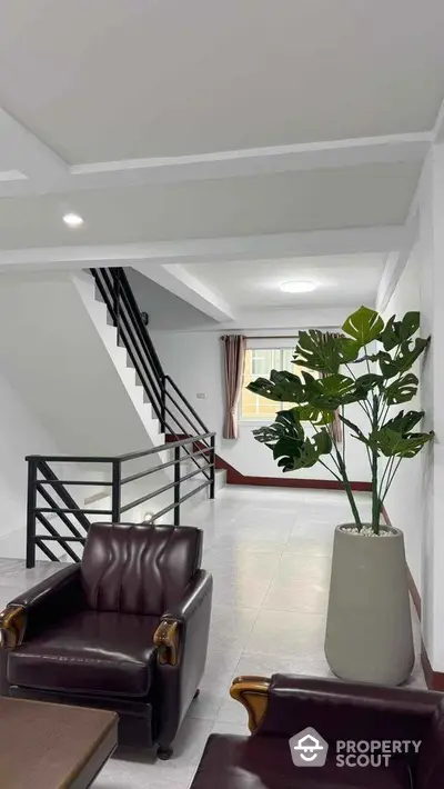 Modern living room with stylish leather chairs and indoor plant near staircase