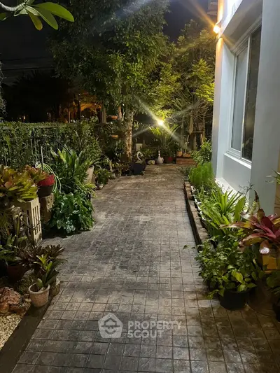 Charming garden pathway with lush greenery and ambient lighting at night