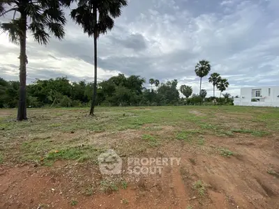 Spacious vacant land with lush greenery and palm trees, perfect for development opportunities.