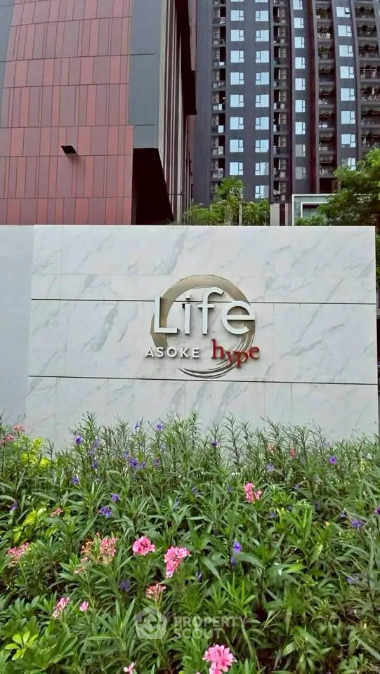 image_rental-30341971