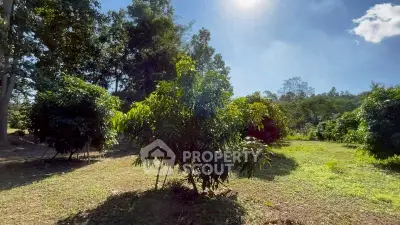 image_rental-31423351