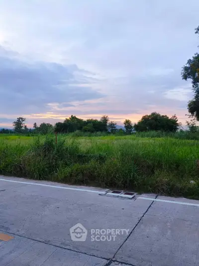 Scenic view of lush green field with distant trees and a serene sky, perfect for real estate development.