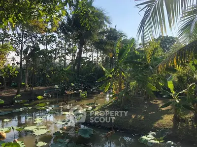 Lush tropical garden with serene pond and vibrant greenery