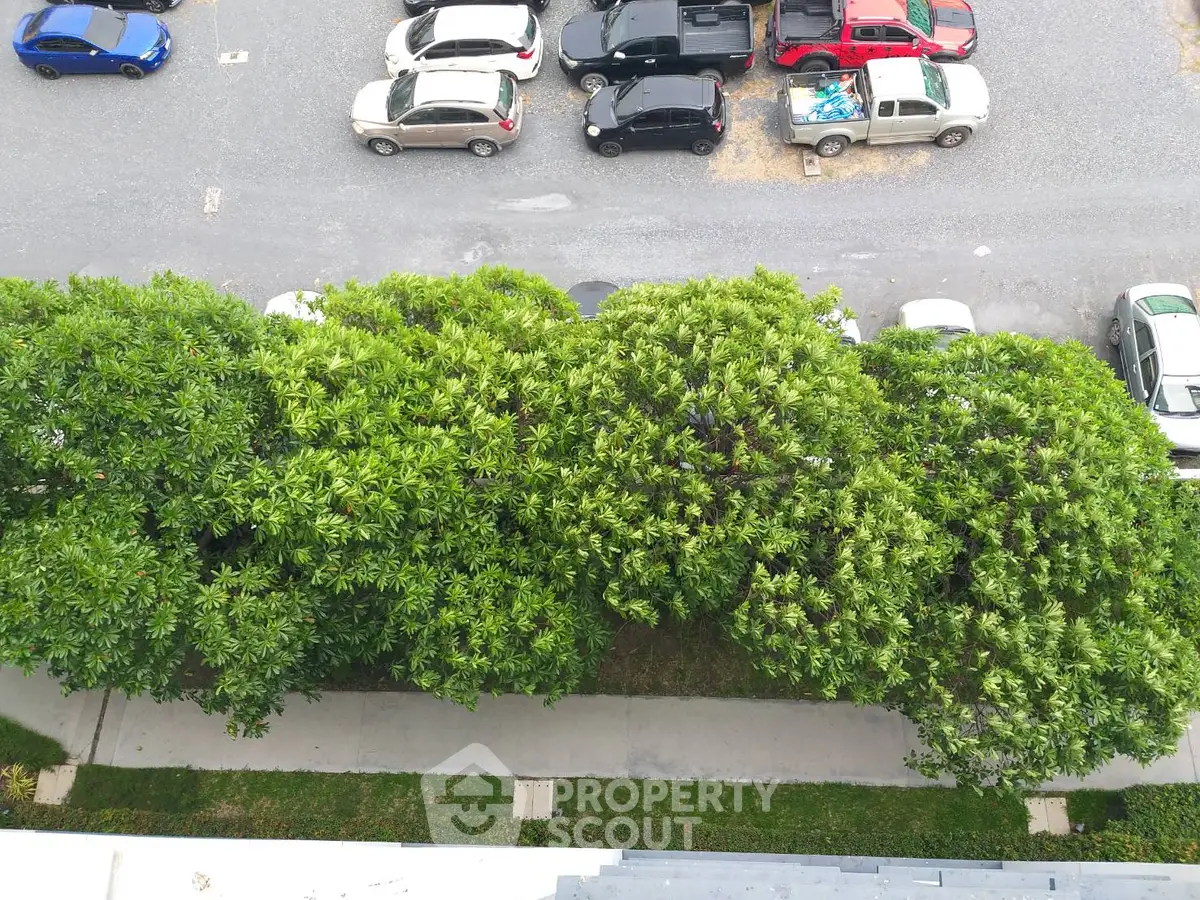 Aerial view of lush green trees and parked cars in a residential area.