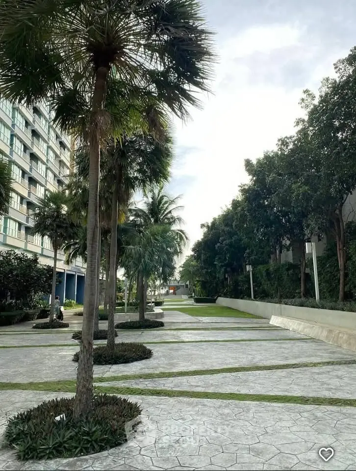 Lush garden area with palm trees in modern residential complex