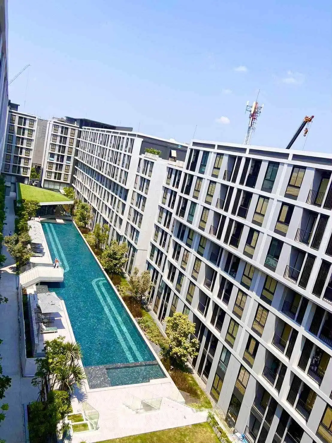 Modern apartment complex with large swimming pool and lush greenery, perfect for urban living.