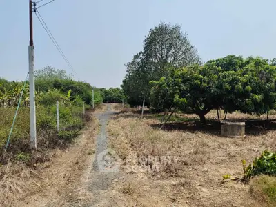 Scenic rural land with pathway and lush trees, ideal for development or agriculture.