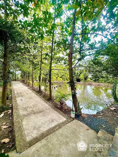 Serene garden pathway beside tranquil pond in lush green setting