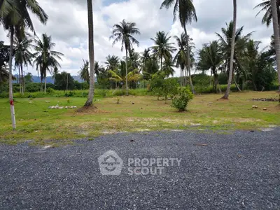 Scenic land plot with lush palm trees and open grassy area, ideal for development or investment.