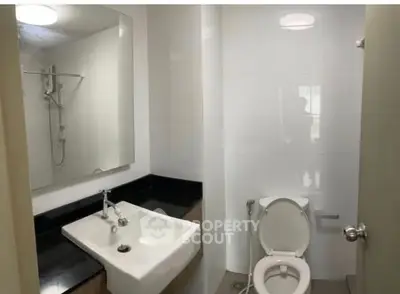Modern bathroom with sleek sink and toilet, featuring a spacious shower area.