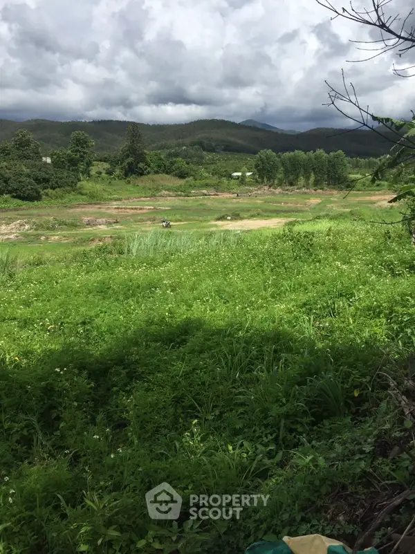 image_rental-13929047