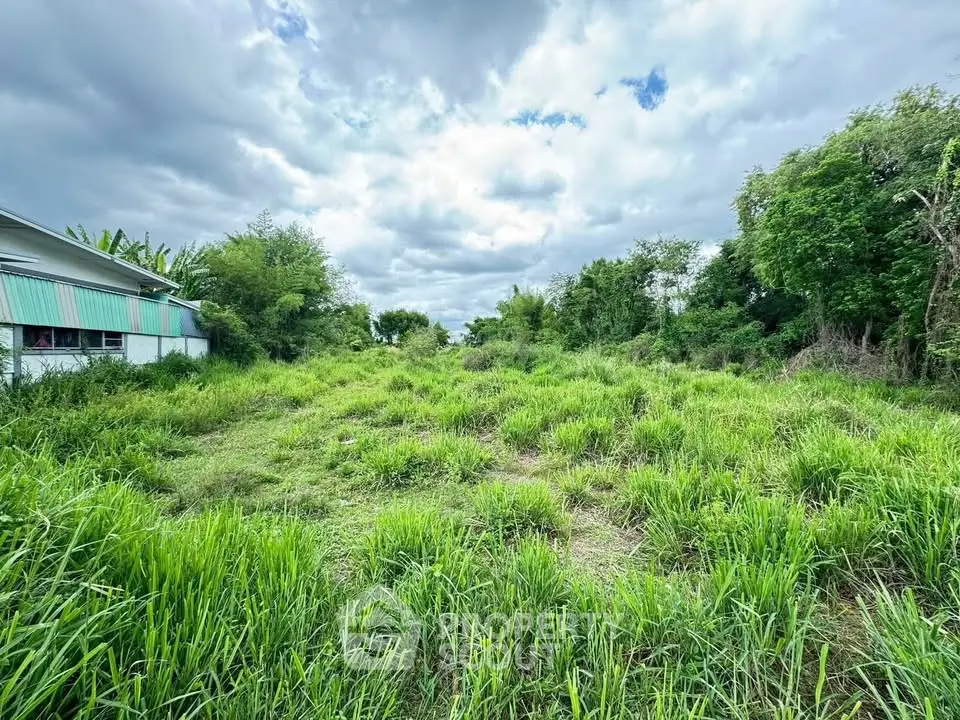 Expansive green land plot with lush vegetation, perfect for development opportunities.